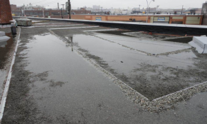 This blue roof in New York uses a check dam to retain storm water.