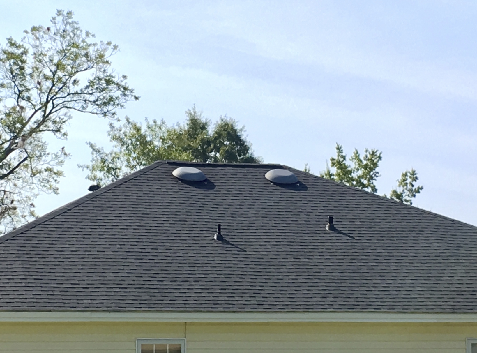 Fact or Fiction? Mixing Exhaust Vent Types Is Problematic Roofing