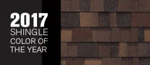 Owens Corning announced Sedona Canyon as its 2017 Shingle Color of the Year. A 2018 Shingle Color of the Year will be announced later this year along with inspiring new color pairings.