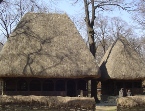 Photo 10. Houses from the Northern county of Maramureș feature thick thatch roofs. Village Museum, Bucharest. Photo: Ana-Maria Dabija.